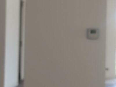 Pintura y albañilería