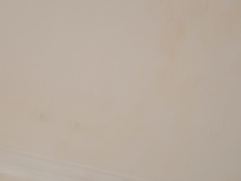 Se hace trabajo de contrucion en gral.pintura albañilería plomería electricidad en gral