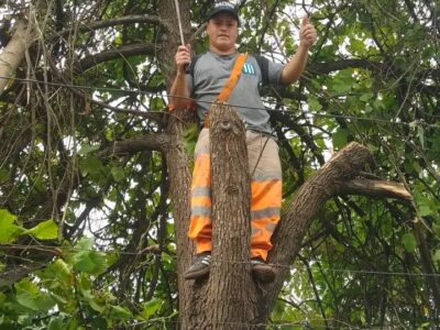 Jardinería, construcción