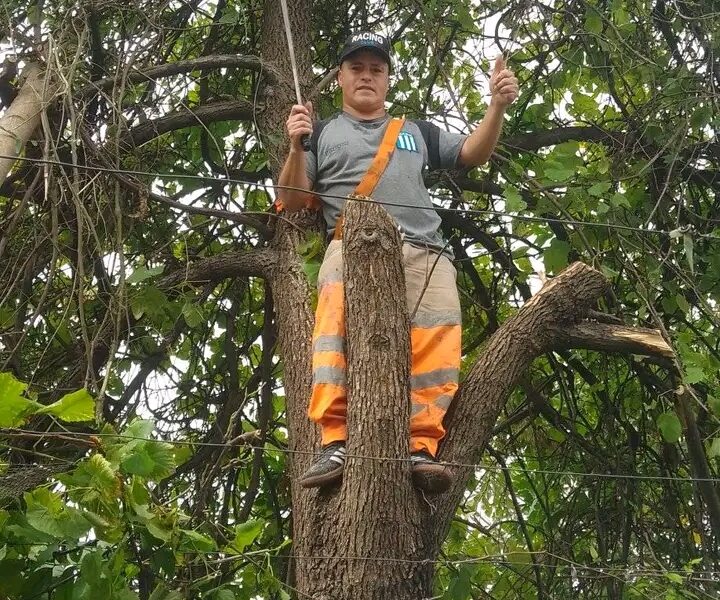 Jardinería, construcción