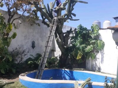 Jardinería, construcción