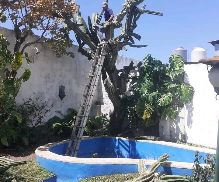 Jardinería, construcción