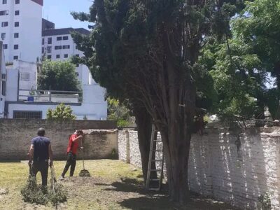 Jardinería, construcción