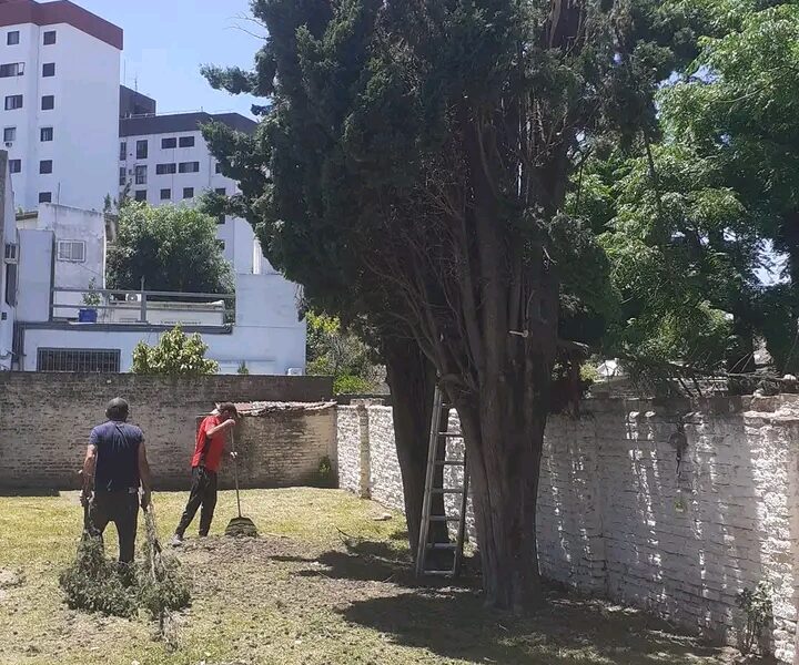 Jardinería, construcción