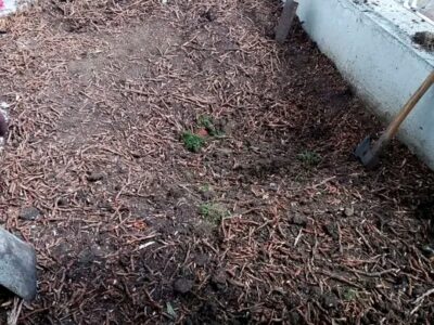 Jardinería, construcción