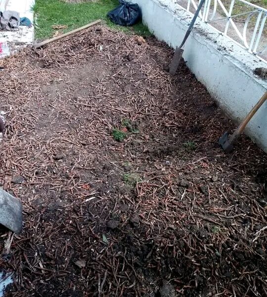 Jardinería, construcción