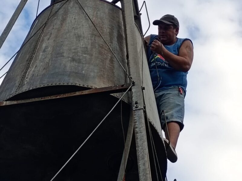 Oficial albañil , electricidad doméstica