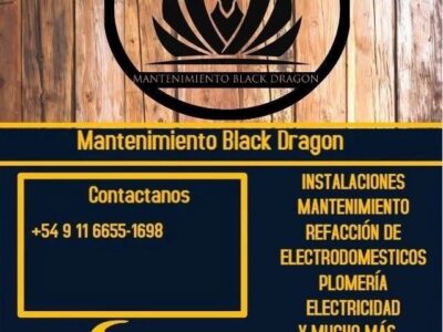 Trabajos de mantenimiento Black Dragon