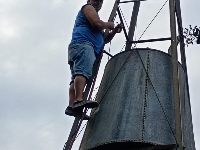 Oficial albañil , electricidad doméstica