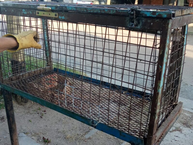 Arreglos y reparación de soldadura