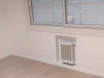 Trabajos de pinturas en general