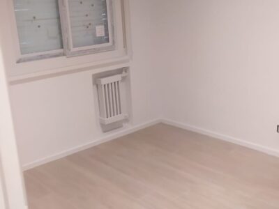 Trabajos de pinturas en general