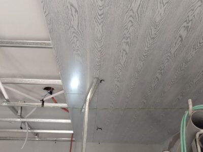 Colocación de Durlock. Trabajos en PVC. Mantenimiento Gral.