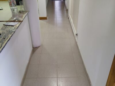 Construcción en general , pintura, mantenimiento , etc