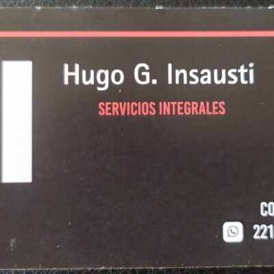 hugo insausti