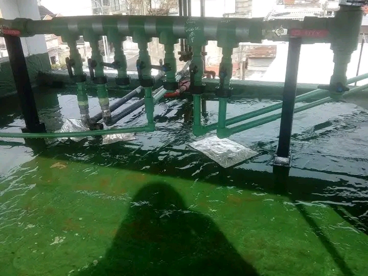 Realizamos trabajos de Plomería, Gasista, Albañil, Pintor, Herrero y Durlock.