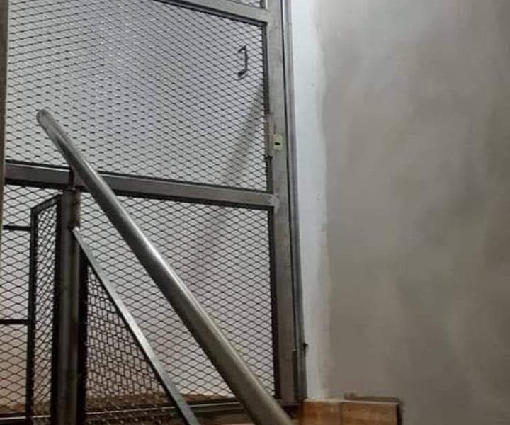 Mantenimiento y construcción de casas y parques.