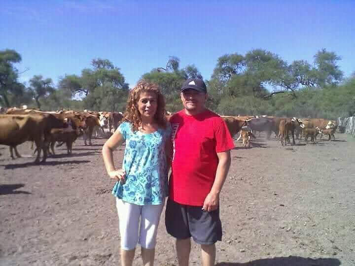 Mantenimiento y construcción de casas y parques.