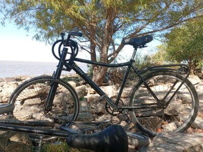 Electricista domiciliaria y pintura