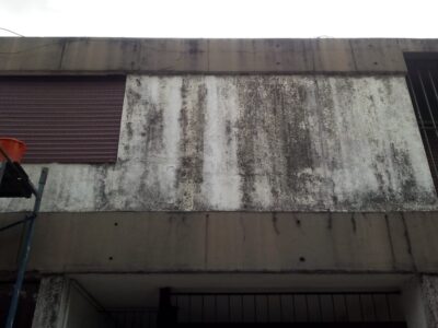 Pintor – Trabajo Prolijo y Disponible Hoy | Arreglos y Mantenimiento