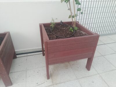 Especialista en trabajos generales