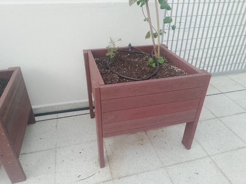 Especialista en trabajos generales