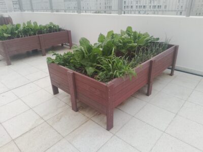 Especialista en trabajos generales