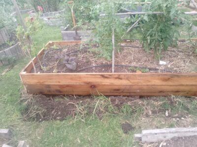 Especialista en trabajos generales