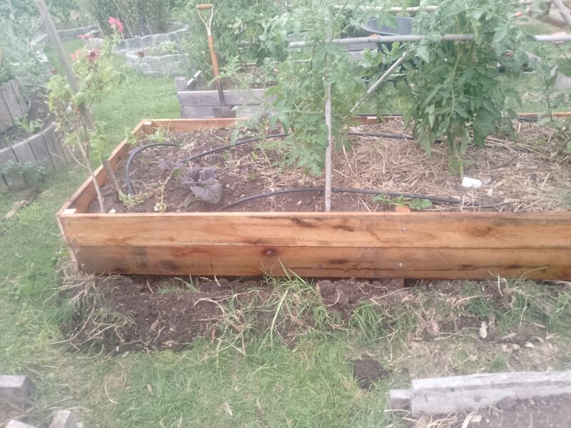 Especialista en trabajos generales