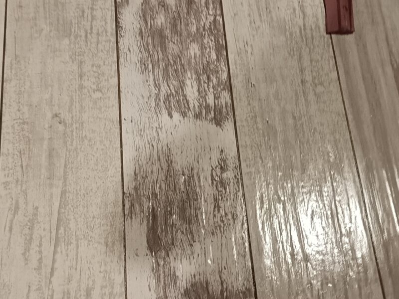 Construcciones en general arreglos impermeabilizaciones pintura terminaciones con tarquini , pérgolas etc