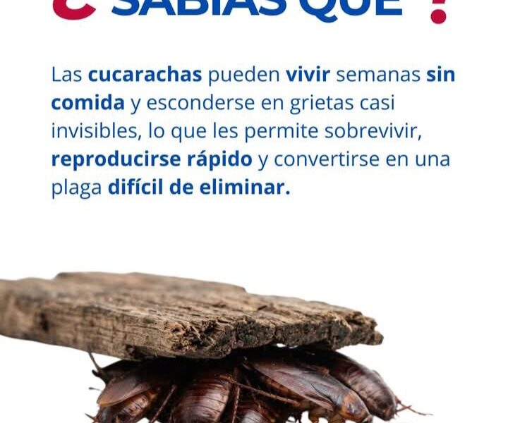 FUMIGACIONES TURDERA / CONTROL DE PLAGAS.