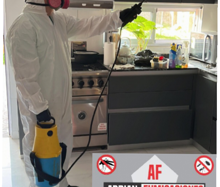 FUMIGACIONES TURDERA / CONTROL DE PLAGAS.