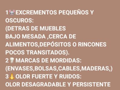 FUMIGACIONES TURDERA / CONTROL DE PLAGAS.