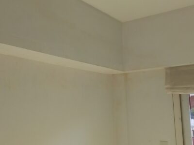 Pintura en general trabajo prolijo y responsable