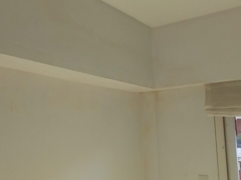 Pintura en general trabajo prolijo y responsable